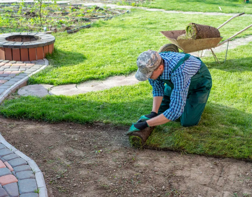 Dallas handyman landscaping and outdoor improvement service