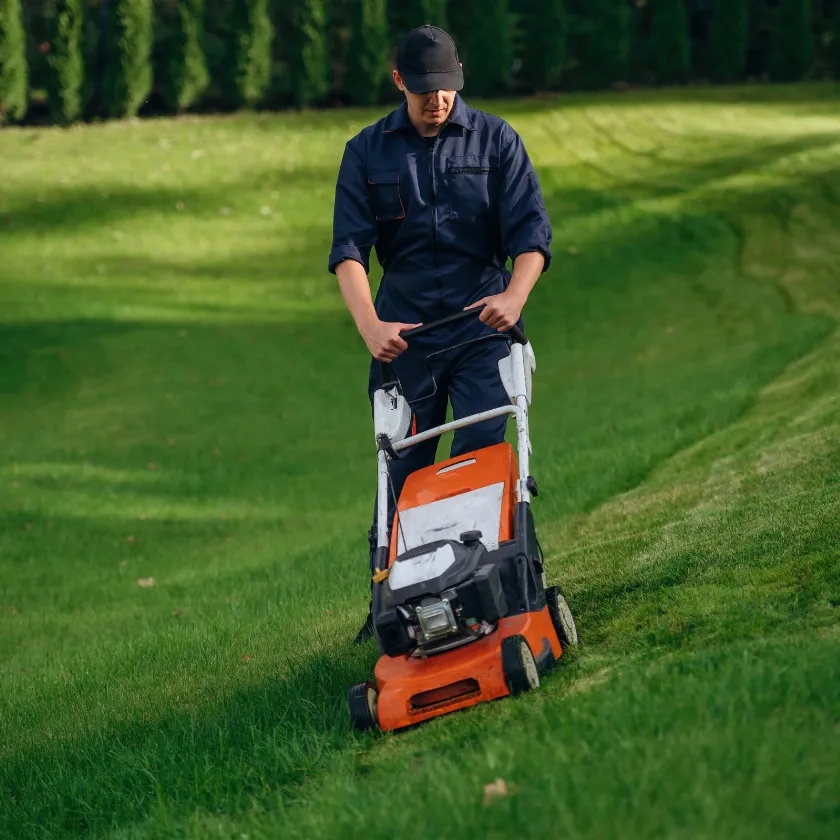 Dallas yard maintenance and outdoor handyman services